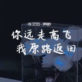 张艺迈 - 你远走高飞 我原路返回