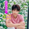 郎飞宇 - 樱花树的约定