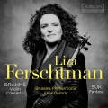 Suk: Fantasy in G Minor for Violin & Orchestra, Op. 24 (excerpt)