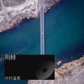 你好温柔、杨阿姨 - 春风中的温柔