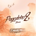 PAGODEIRO 2 (Remix)