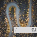 你好温柔、杨阿姨 - 夏日