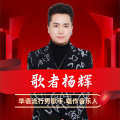 杨辉 - 最好的舞台