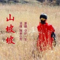 山坡坡(DJ男版)