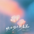 泡芙芙Scarlett - 晚云吻不到晨花