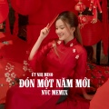 Đón Một Năm Mới (NVC Remix)