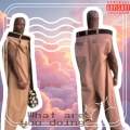 Prozae、Samuel Alvey - What are you doing?
