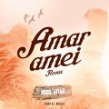 Amar Amei (Remix)