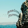 Nicholas Wilderman - Freedom Forever