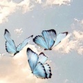 T E S S A - Sogni miei