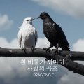 Dragon C - 白鸽乌鸦相爱的戏码