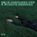 小山林 - 执子之手