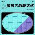 美少女壮士 - 新年烟花下的心愿与希望