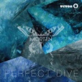 Perfect Dive (Radio Edit)