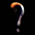 Bersuit? (Explicit)