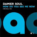 Damier Soul - How Do You See Me Now