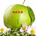 高寅瀚、高媛媛 - 神奇苹果