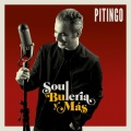 pitingo - Cu cu rru cu cu Paloma