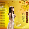刘金兰 - 无悔的过往