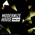 Modernize House - Spring 2016