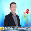 皖北画王 - 别把我一个人留下