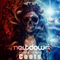 Coots - Mecsown