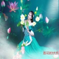 于郑森丹 - 莲花的忧伤