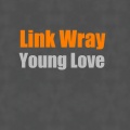 link wray - New Studio Blues