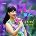 李红 - 甜蜜的泪水