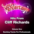You Entertain - Devil Woman