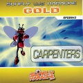 Sunfly Karaoke - It's Going to Take Some Time In the Style of the Carpenters
