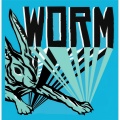 Worm - Adult