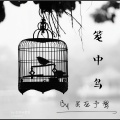 买巫予骜 - 笼中鸟