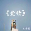 王小雷 - 爱情