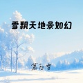 雪飘天地景如幻