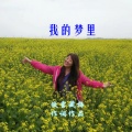 傲雪藏梅 - 我的梦里