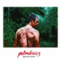 Baxter Dury - Palm Trees (Radio Edit)