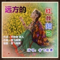 香飞蝶舞 - 远方的红颜知己
