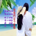 傲雪藏梅 - 你我约定今宵情