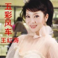 王红涛 - 五彩风车