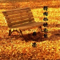 梧桐树的街角