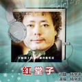 杨学峰 - 红堂子