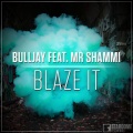 Bulljay、Mr.Shammi - Blaze It (Hands Up Club Mix)(Remix)