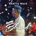 Shatta Wale - Am Blessed