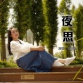 闫凤梅 - 夜思