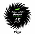 Nasty Bros、Velasquezz - Right Now