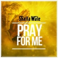 Shatta Wale - Pray for Me