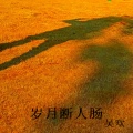 吴欢Coldy - 岁月断人肠