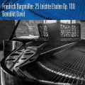 Benedikt David - I. La Candeur