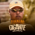 Tubarão Gigante